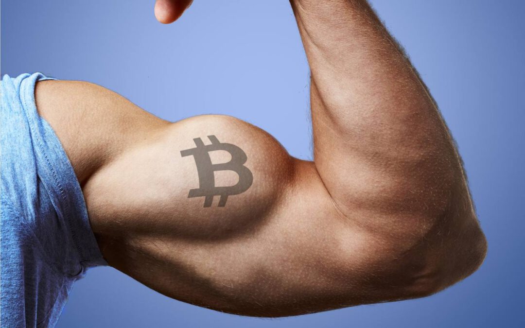 Bitcoin resiste a la crisis global: ¿Próximo impulso alcista?