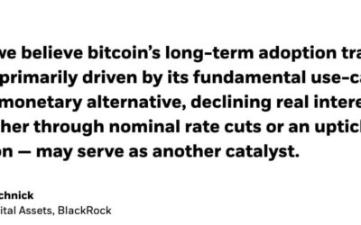 BlackRock declara: «Bitcoin es una alternativa monetaria global»