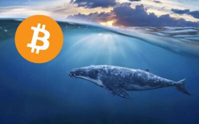 Compra masiva de Bitcoin por $1.3 mil millones: ¿Quién está detrás?