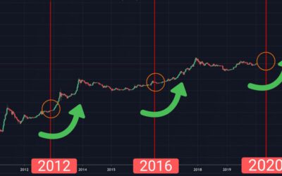 Desmintiendo mitos sobre los halvings de Bitcoin