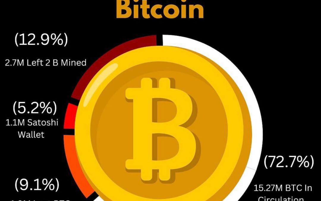 Distribución actual de los 21 millones de Bitcoin. ¿Dónde están?