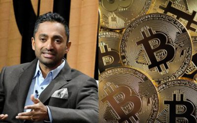 El costo de ser un lobo solitario la apuesta de Chamath por Bitcoin