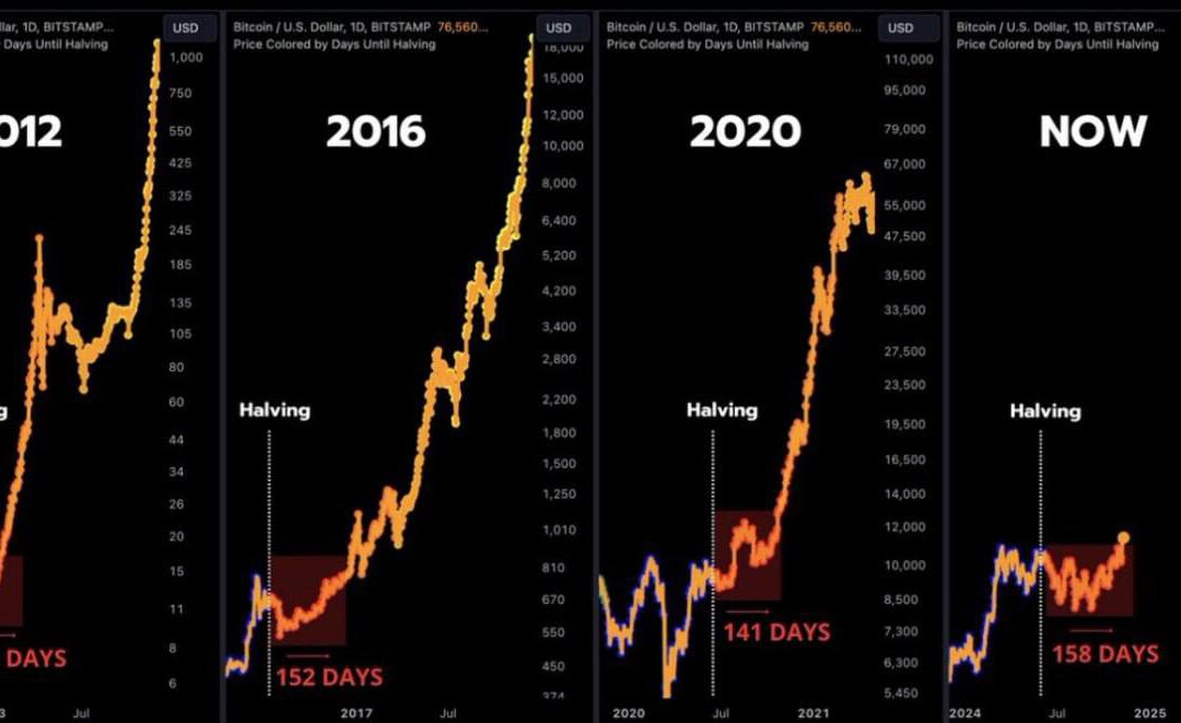Historial de Halvings de Bitcoin: ¿Repitiendo patrones de Bullrun?