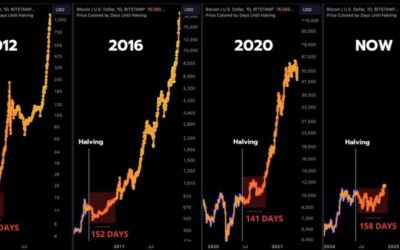 Historial de Halvings de Bitcoin: ¿Repitiendo patrones de Bullrun?