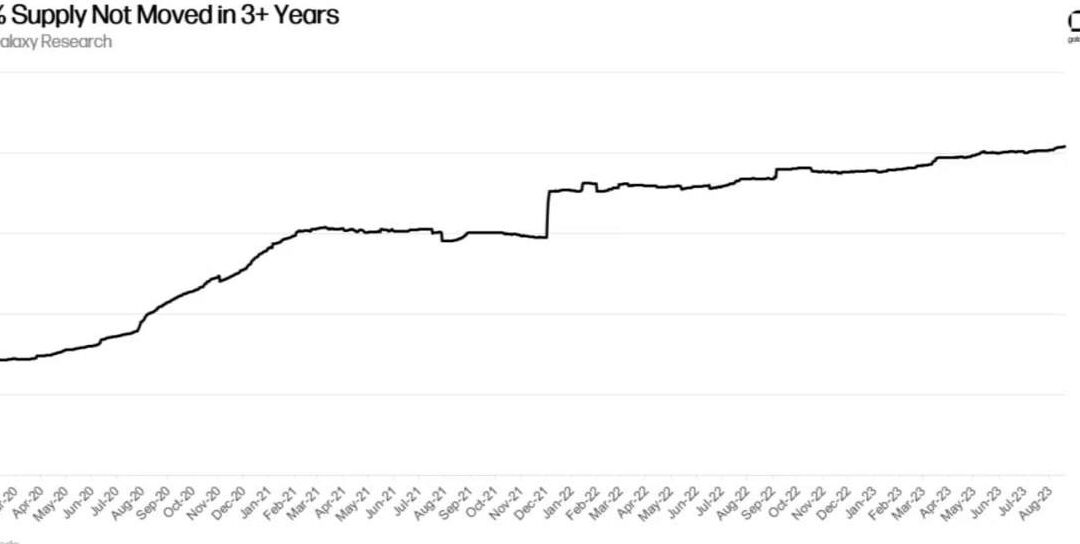 Holders a largo plazo de Bitcoin alcanzan récord histórico