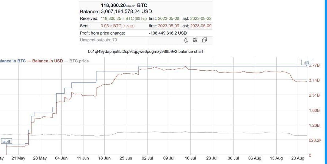 Misteriosa ballena de Bitcoin: Tercer mayor Holder en 3 meses