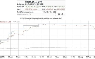Misteriosa ballena de Bitcoin: Tercer mayor Holder en 3 meses