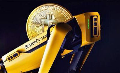 Perros robóticos buscarán disco duro con €172 millones en Bitcoin en basurero