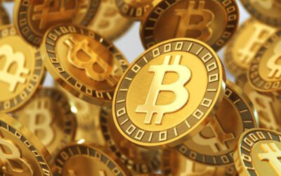 Diversifica tus Criptos: Protege tus inversiones con múltiples wallets