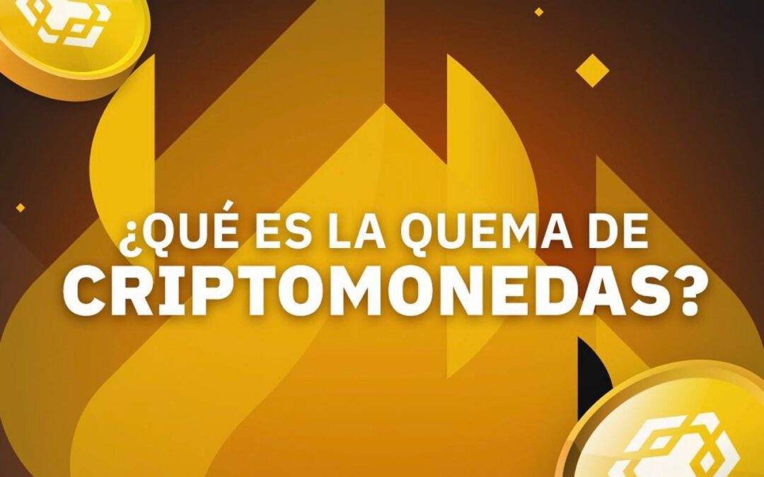Quema de criptomonedas: Explicación con BNB de Binance