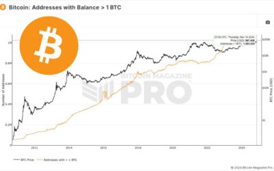 Solo 1 millón de direcciones tienen +1 BTC: Importancia de acumular ahora