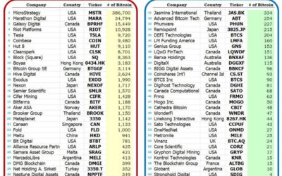 Top 60 de empresas públicas con mayor cantidad de Bitcoin en el mundo