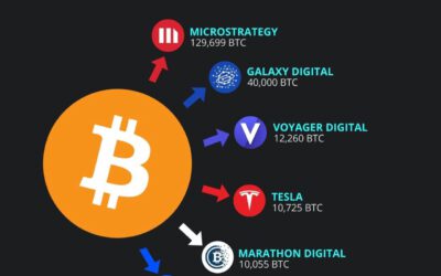 Top empresas con más Bitcoin: ¿Invertirías si fueras una corporación?