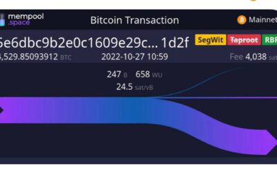 Transacción Bitcoin de $510,000 con comisión de ¡$0.82!