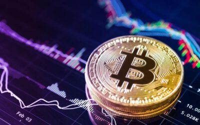 Lecciones Bitcoin: El impacto de retirar BTC de los exchanges