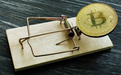 ¡Cuidado con las Fees Bajas en Exchanges de Bitcoin! La Trampa del Precio Oculto
