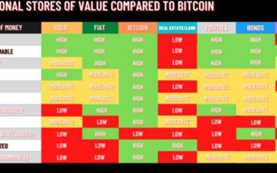 Bitcoin: El mejor refugio para tu dinero