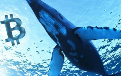 ¡Ballena mueve $1.9 mil millones en Bitcoin pagando $3.50 de comisión!