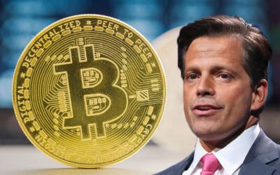 ¡Scaramucci: Bitcoin a $100K este año y $500K a largo plazo!
