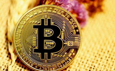 ¡Momento decisivo para Bitcoin! El futuro del dinero