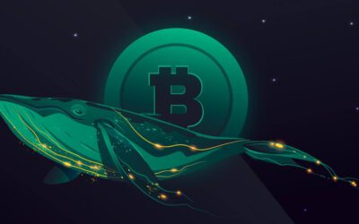 ¡Monedero Bitcoin con 407 BTC se activa tras 8 años!